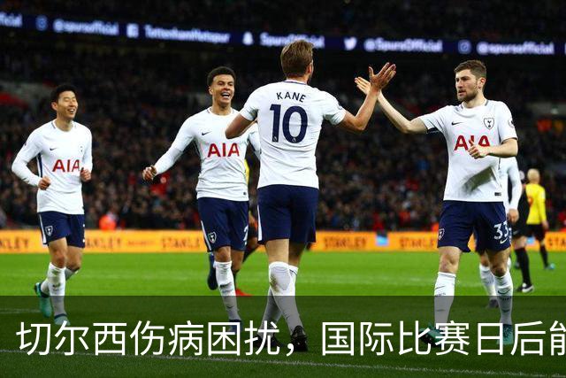 切尔西伤病困扰，国际比赛日后能否迎战伯恩茅斯？
